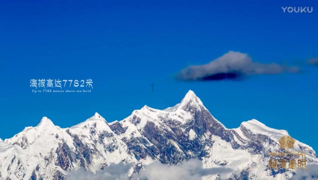 深入解析:解释性人工智能(XAI)的核心概念