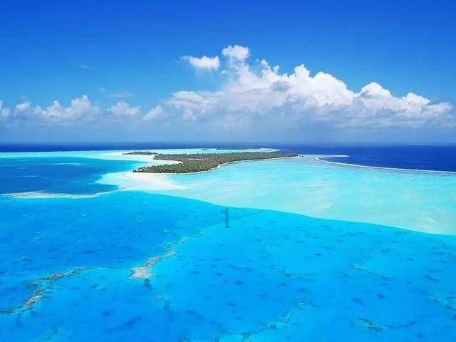 探索知识星球平台|喝热水能减肥吗?知识分享社区