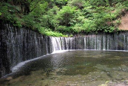 “恩宜甬”铁铁海通道助“硒茶”飘香海外