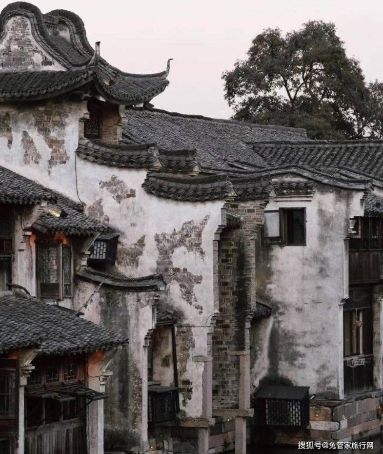 普京：列宁格勒封锁的残忍和恬不知耻史无前例